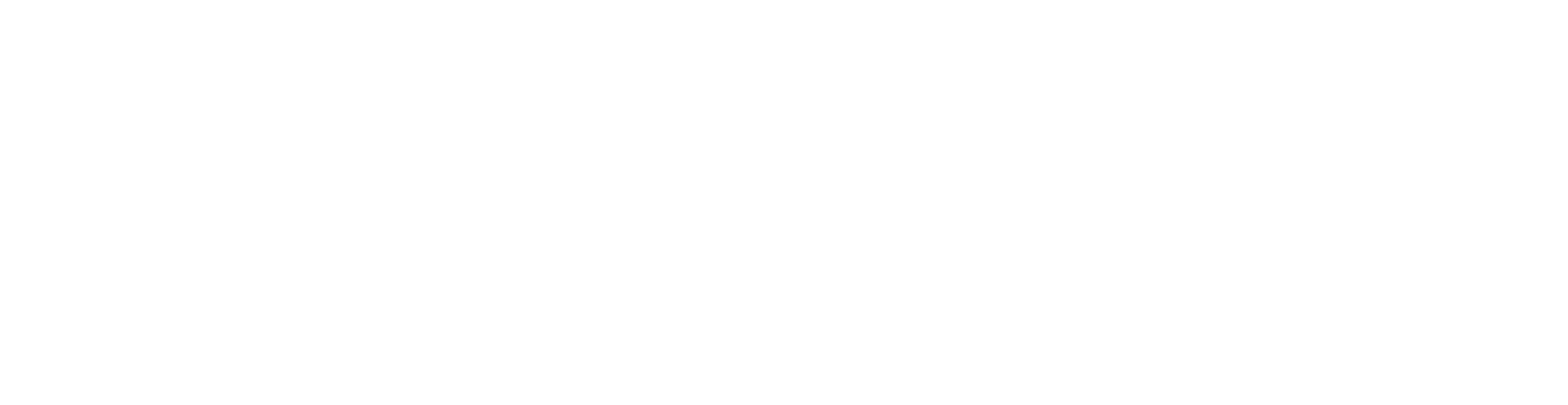 Turgay Doğan Yatırım Danışmanlığı Logo